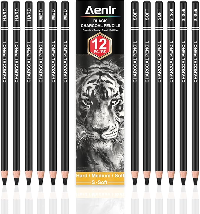 Charcoal Pencils for drawing, Charcoal Drawing Pencils, Art Supplies for Artist by Aenir
