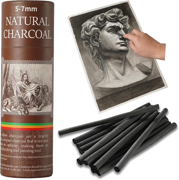 25 PCS Willow Charcoal Sticks, and Fine Art, 5.7 Inches Long by Unknown