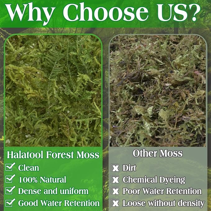 Halatool 9OZ Green Moss for Potted Plants, 12QT Orchid Moss Potting Mix - Image 7