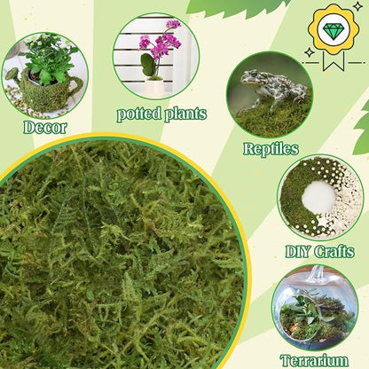 Halatool 9OZ Green Moss for Potted Plants, 12QT Orchid Moss Potting Mix - Image 6