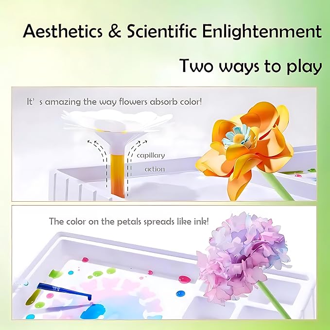 Science Craft Kit: Color Mixing & Dyeing Paper Flower Bouquet - Image 8