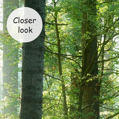 AFZEVEB-Green Forest Wallpaper Natural Landscape Wall murals - Image 4