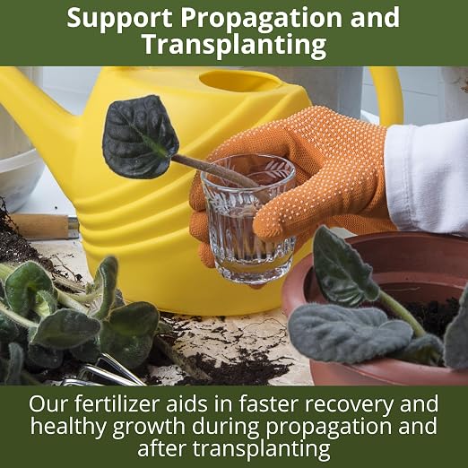 3-1-2 African Violet Fertilizer - Image 7