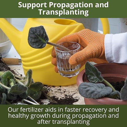 3-1-2 African Violet Fertilizer - Image 7