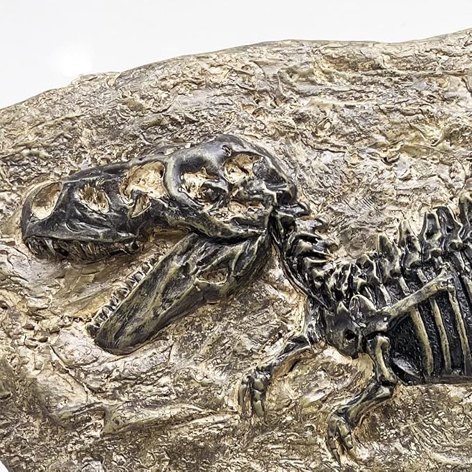 XINDAM Resin Tyrannosaurus Rex Dinosaur Fossil Statue Model Simulated Skeleton - Image 4