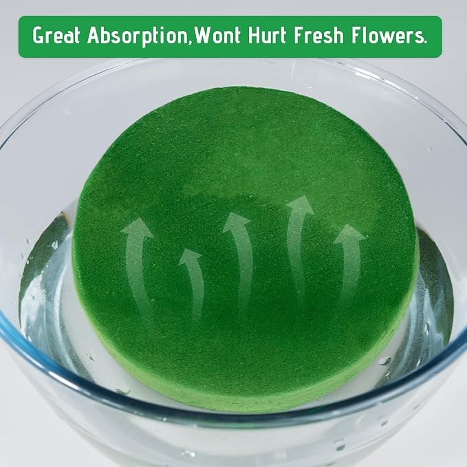 Max Shape 6Pcs Floral Foam Round Blocks, Large Wet and Dry Green Foam - Image 3