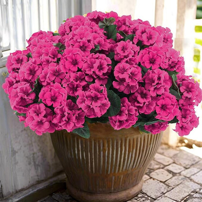 Hananona Artificial Geranium Flowers by HANANONA