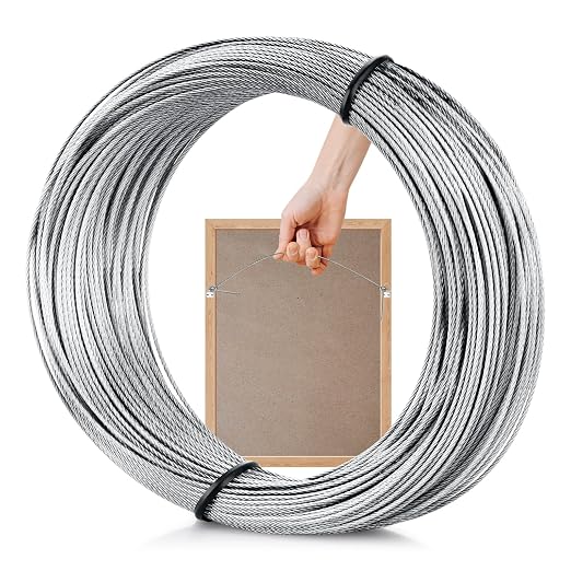 Picture Hanging Wire, 100-Feet Hanging Wire Heavy Stainless Steel line Rope by Taocar