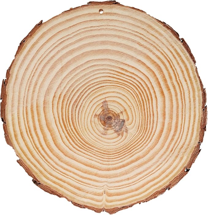 JEUIHAU 12 PCS 5.5-5.9 Inches Natural Wood Slices - Image 4