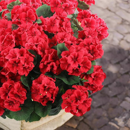 Hananona 12 Pcs Artificial Geranium Flowers - Image 7