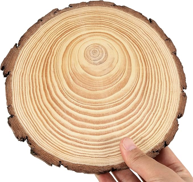 JEUIHAU 6 PCS 8-10 Inches Natural Unfinished Wood Slices, Round Wooden Tree - Image 5