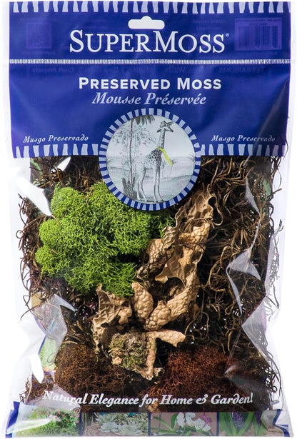 SuperMoss Moss Mix – Premium Decorative Moss by SuperMoss