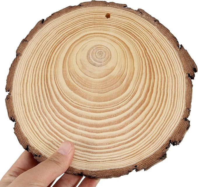JEUIHAU 8 PCS 7-8 Inches Natural Wood Slices - Image 5