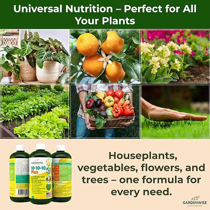 10-10-10 All Purpose Plant Food - Image 2
