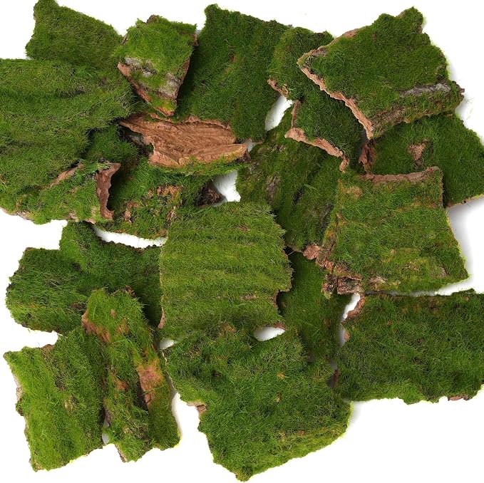 BYHER Assorted Artificial Moss Bark, Decorative Mossy Tree Bark - Image 7