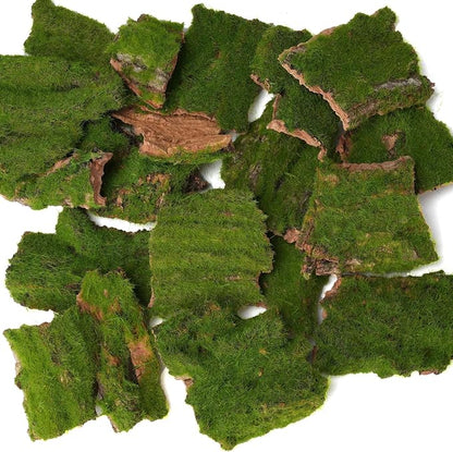 BYHER Assorted Artificial Moss Bark, Decorative Mossy Tree Bark - Image 7