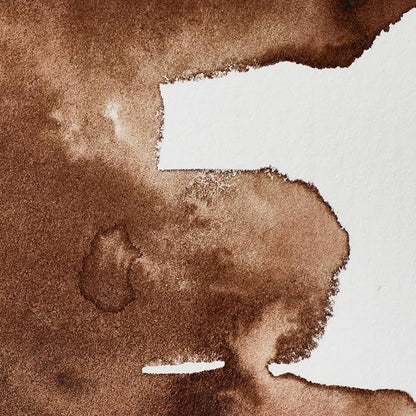 Winsor & Newton Professional Water Colour Paint, Half Pan, Vandyke Brown - Image 2