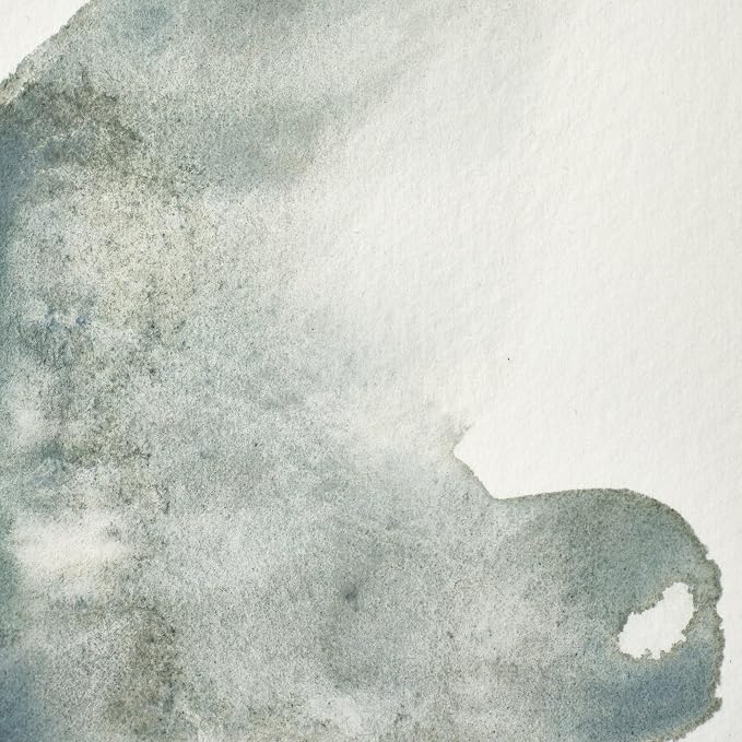 Winsor & Newton Professional Watercolour, Revival Collection, Half Pan - Image 3