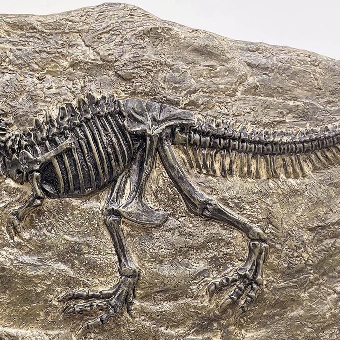 XINDAM Resin Tyrannosaurus Rex Dinosaur Fossil Statue Model Simulated Skeleton - Image 5