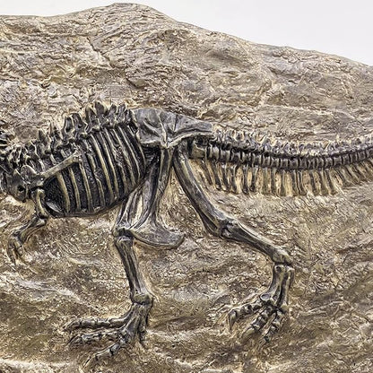 XINDAM Resin Tyrannosaurus Rex Dinosaur Fossil Statue Model Simulated Skeleton - Image 5