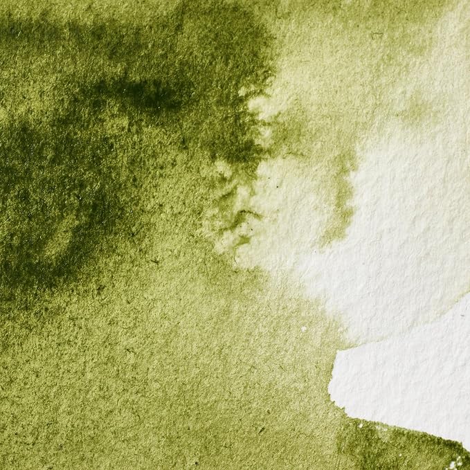 Winsor & Newton Professional Water Colour Paint, 0.47-oz Tube, Olive Green - Image 2
