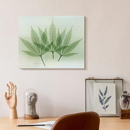 Empire Art Direct Frameless Free Floating Tempered Glass Panel Graphic Wall Art by EmpireArtDirect