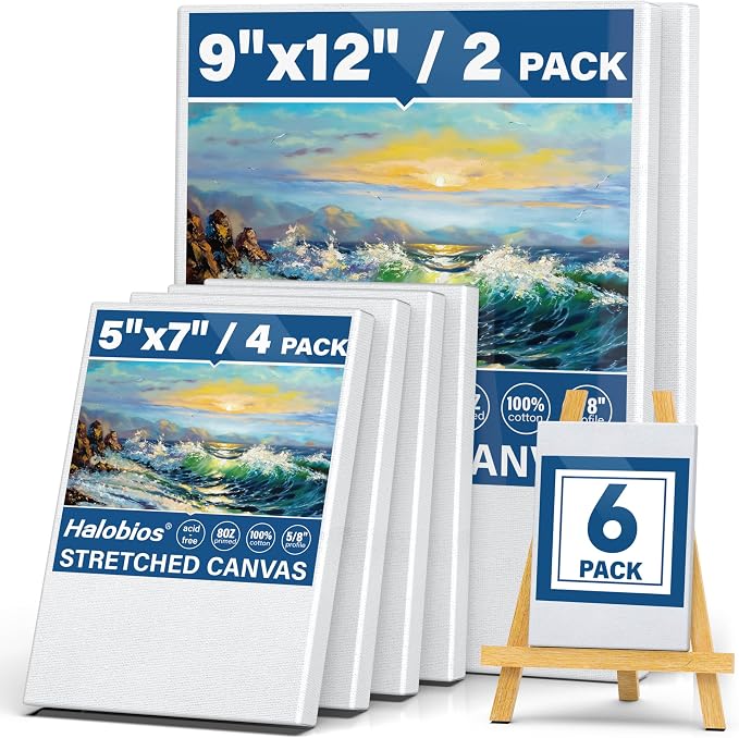 6 Packs Stretched Canvases for Painting by Halobios