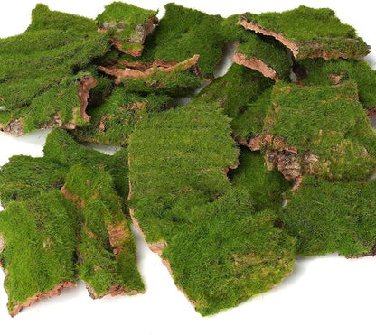 BYHER Assorted Artificial Moss Bark, Decorative Mossy Tree Bark by Byher