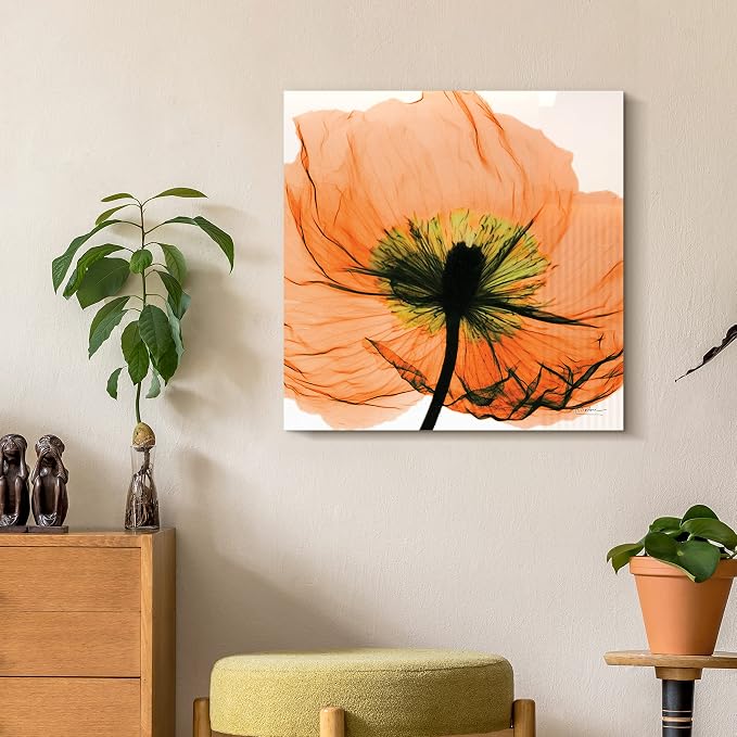 Empire Art Direct Frameless Free Floating Tempered Glass Panel Graphic Wall Art by EmpireArtDirect