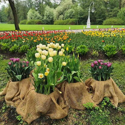 Garden Burlap Roll, Seed Cover, Weed Barrier, Aisle Runner Plant Cover Tree - Image 4