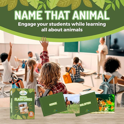 150 Noun Food and Animal Flash Cards Set, Montessori Educational Games - Image 6