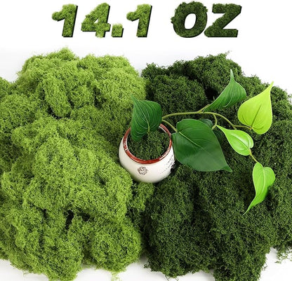 Jollidecor Fake Moss for Crafts, 14.1 OZ Artificial Moss for Plants Indoor by Jollidecor