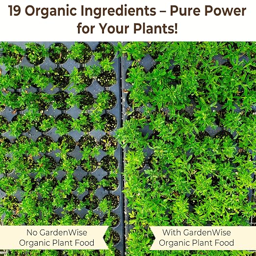 Organic Liquid Plant Food for Indoor Houseplants – All Purpose Fertilizer for - Image 6