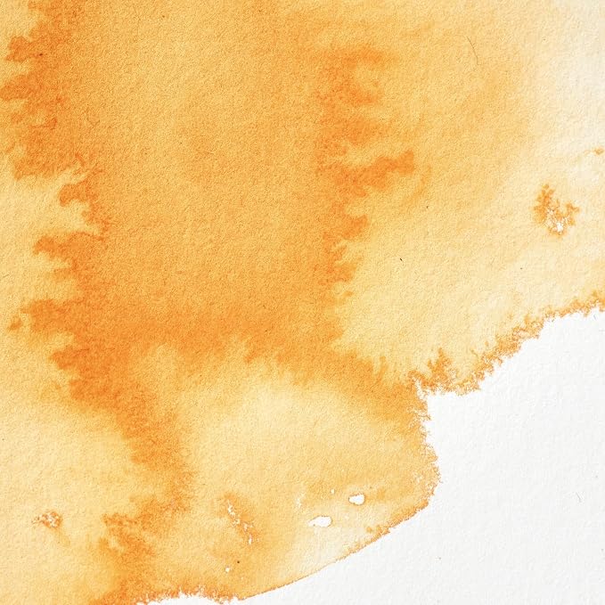 Winsor & Newton Professional Water Colour Paint, Half Pan, Winsor Orange - Image 2