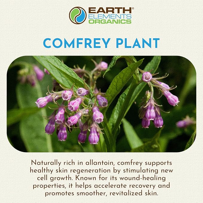Comfrey Oil Raw with Sunflower Oil, Pressed Herbal Remedy, Support - Image 4