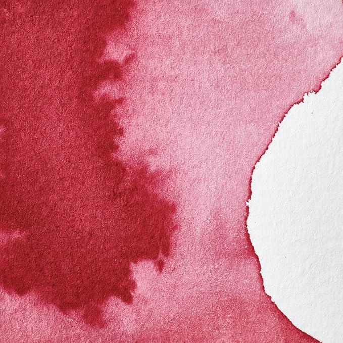 Winsor & Newton Professional Water Colour Paint, Half Pan, Permanent Carmine - Image 2