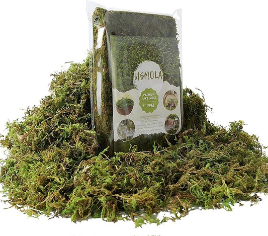 Fake Green Moss for Potted Plants, 4OZ Artificial Moss for DIY Crafts, Faux by USMOLA