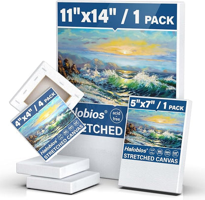 6 Packs Stretched Canvases for Painting by Halobios
