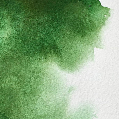 Winsor & Newton Professional Water Colour Paint, 0.47-oz Tube, Hooker's Green - Image 2