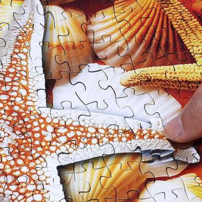 Think2Master Colorful Rainbow of Starfish & Seashells 1000 Pieces Large Format - Image 2