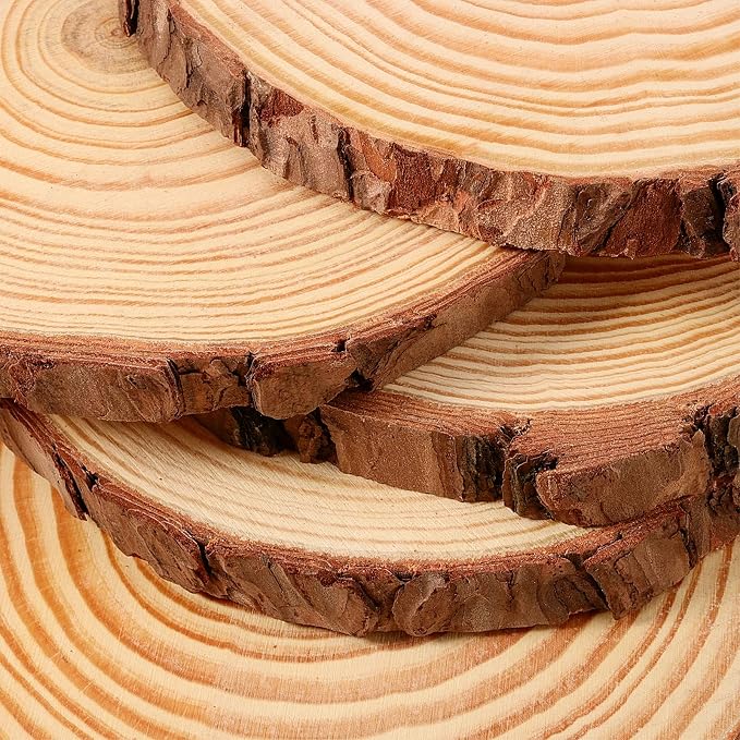 JEUIHAU 10 PCS 6.7-7 Inches Natural Unfinished Wood Slices, Round Wooden Tree - Image 3