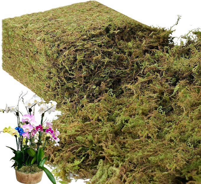 BYHER 35 OZ Large Capacity Fake Moss by Byher