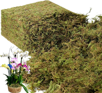 BYHER 35 OZ Large Capacity Fake Moss by Byher