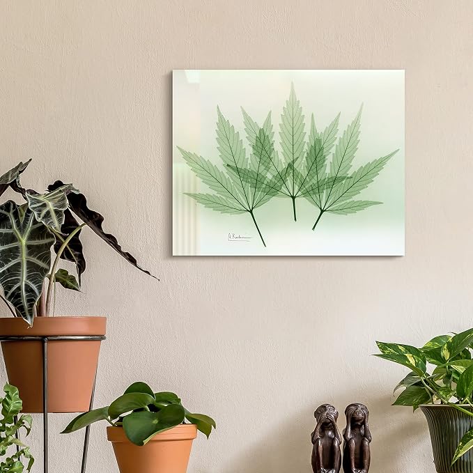 Empire Art Direct Frameless Free Floating Tempered Glass Panel Graphic Wall Art - Image 5