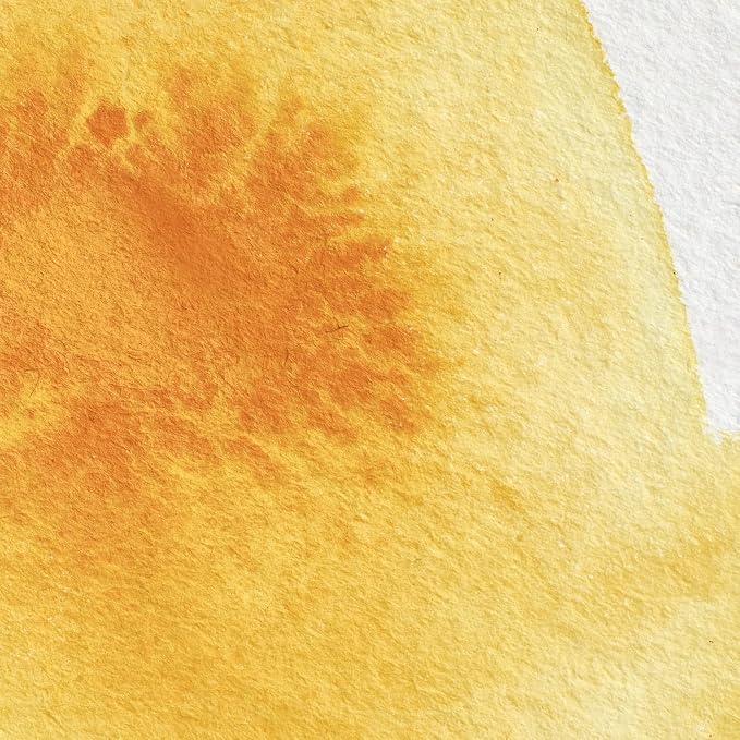 Winsor & Newton Professional Water Colour Paint, Half Pan, Cadmium Yellow Deep - Image 2
