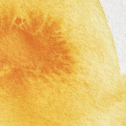 Winsor & Newton Professional Water Colour Paint, Half Pan, Cadmium Yellow Deep - Image 2