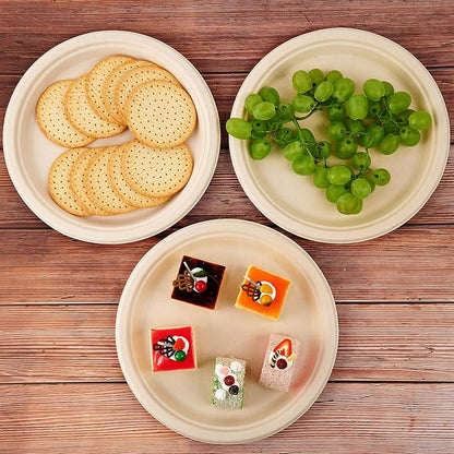 Vplus 500 Pack Compostable Disposable Paper Plates 10.25 inch Super Strong - Image 4