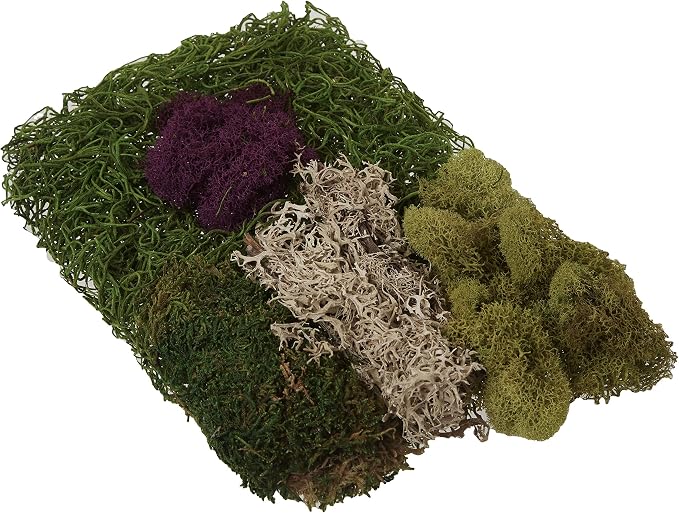 SuperMoss Moss Mix - Image 3