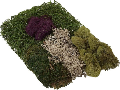 SuperMoss Moss Mix - Image 3
