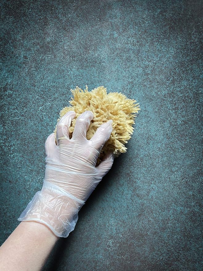 Natural Sea Wool Art Sponge: Premium Professional Grade 5"-6" Unbleached - Image 5